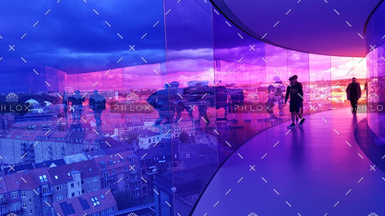 The untold secret to mastering programming in just a year